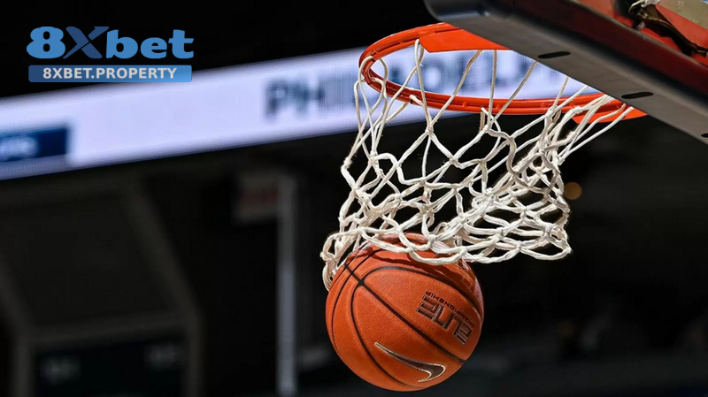 Tham gia bóng rổ 8xBet, tận hưởng trải nghiệm mượt mà với kèo cược đa dạng và tỷ lệ siêu hấp dẫn Tham gia bóng rổ 8xBet, tận hưởng trải nghiệm mượt mà với kèo cược đa dạng và tỷ lệ siêu hấp dẫn