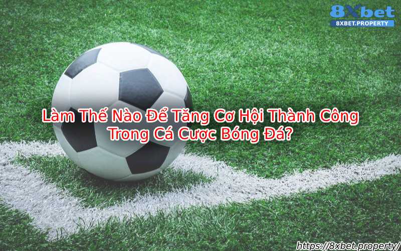 Cách tăng cơ hội thành công trong cá cược bóng đá Cách tăng cơ hội thành công trong cá cược bóng đá