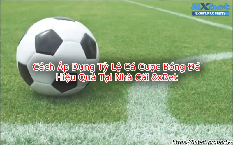 Tỷ lệ kèo nhà cái 8xbet Tỷ lệ kèo nhà cái 8xbet