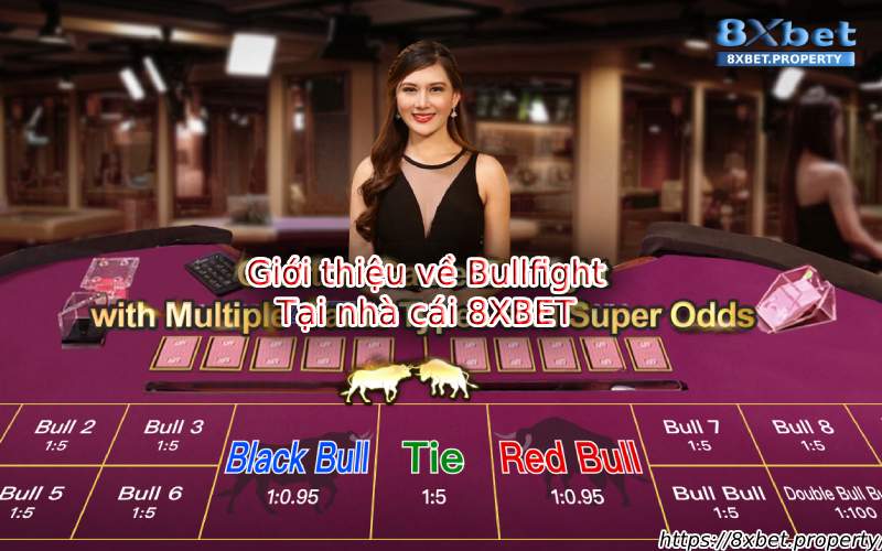 Giới thiệu Bullfight 8xbet Giới thiệu Bullfight 8xbet